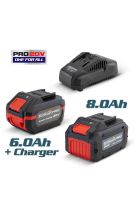BORMANN Pro ΜΠΑΤΑΡΙΕΣ ΣΕΤ 20V 6.0Ah ΚΑΙ 8.0Ah ΚΑΙ ΤΑΧΥΦΟΡΤΙΣΤΗΣ BBP9104 052937