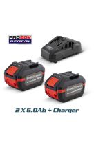 BORMANN Pro ΜΠΑΤΑΡΙΕΣ ΣΕΤ 2 Χ 6.0Ah ΚΑΙ ΦΟΡΤΙΣΤΗΣ BBP9110 053156