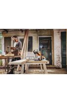 STIHL ΑΛΥΣΟΠΡΙΟΝΟ ΒΕΝΖΙΝΗΣ 30CM MS 162 11482000000