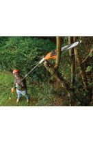 BLACK AND DECKER ΤΗΛΕΣΚΟΠΙΚΟ ΑΛΥΣΟΠΡΙΟΝΟ 800W PS7525-QS