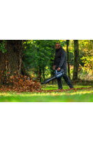 BOSCH ΦΥΣΗΤΗΡΑΣ ΦΥΛΛΩΝ ΜΠΑΤΑΡΙΑΣ GBL 18V-800 PROFESSIONAL (ΜΟΝΟ ΣΩΜΑ) 06008D2200