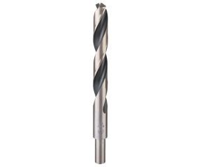 BOSCH ΤΡΥΠΑΝΙ ΣΙΔΗΡΟΥ 16.5MM 2608577311
