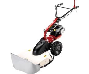 EUROSYSTEM P 70 BRIGGS&STRATTON ΠΟΛΥΜΗΧΑΝΗΜΑ ΚΑΤΑΣΤΡΟΦΕΑ ΧΟΡΤΟΥ 27/99