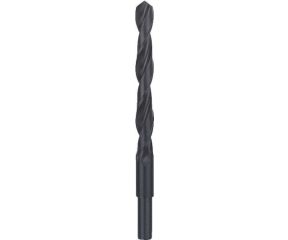 BOSCH ΤΡΥΠΑΝΙ ΣΙΔΗΡΟΥ 19MM 2608596662