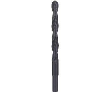 BOSCH ΤΡΥΠΑΝΙ ΣΙΔΗΡΟΥ 19MM 2608596662